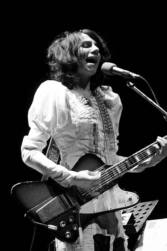 PJ Harvey guitar Rotosound strings. Photo credit murplejane on Flickr