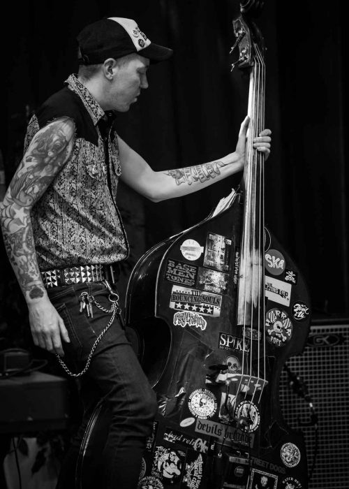 Rockabilly Double Bass RS4000 strings. Credit Arttu Stark